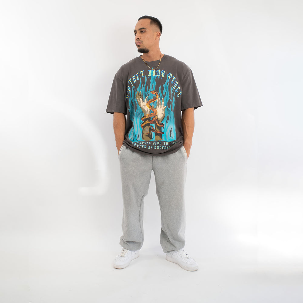 Protect Your Peace (Grey) Ultra-Heavy Super Oversized T