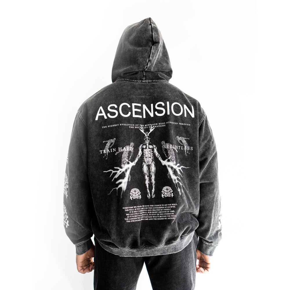 
                      
                        "Ascension" Oversized Hoodie
                      
                    