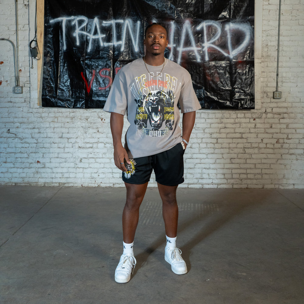 Panther (Stone Grey) Ultra-Heavy Super Oversized T