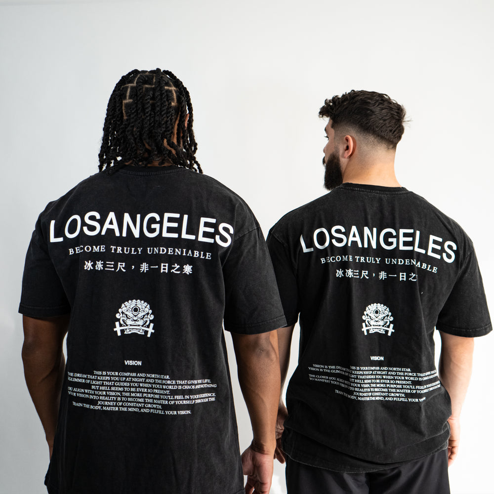 
                      
                        "LA Visionary" Oversized T
                      
                    