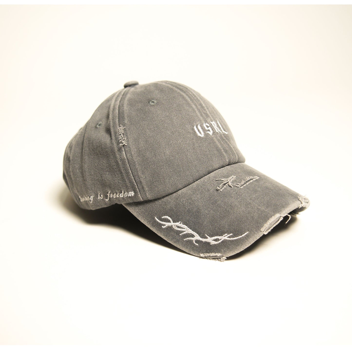 Training is Freedom Dad Hat (Cool Grey)