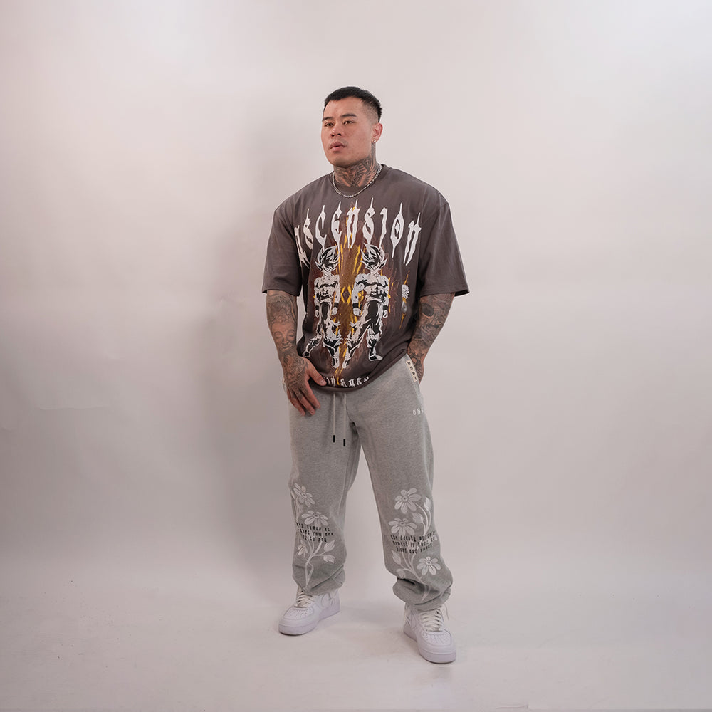 
                      
                        "Ascension DBZ" (Grey) Ultra-Heavy Super Oversized T
                      
                    