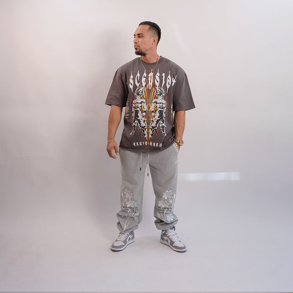 
                      
                        "Ascension DBZ" (Grey) Ultra-Heavy Super Oversized T
                      
                    