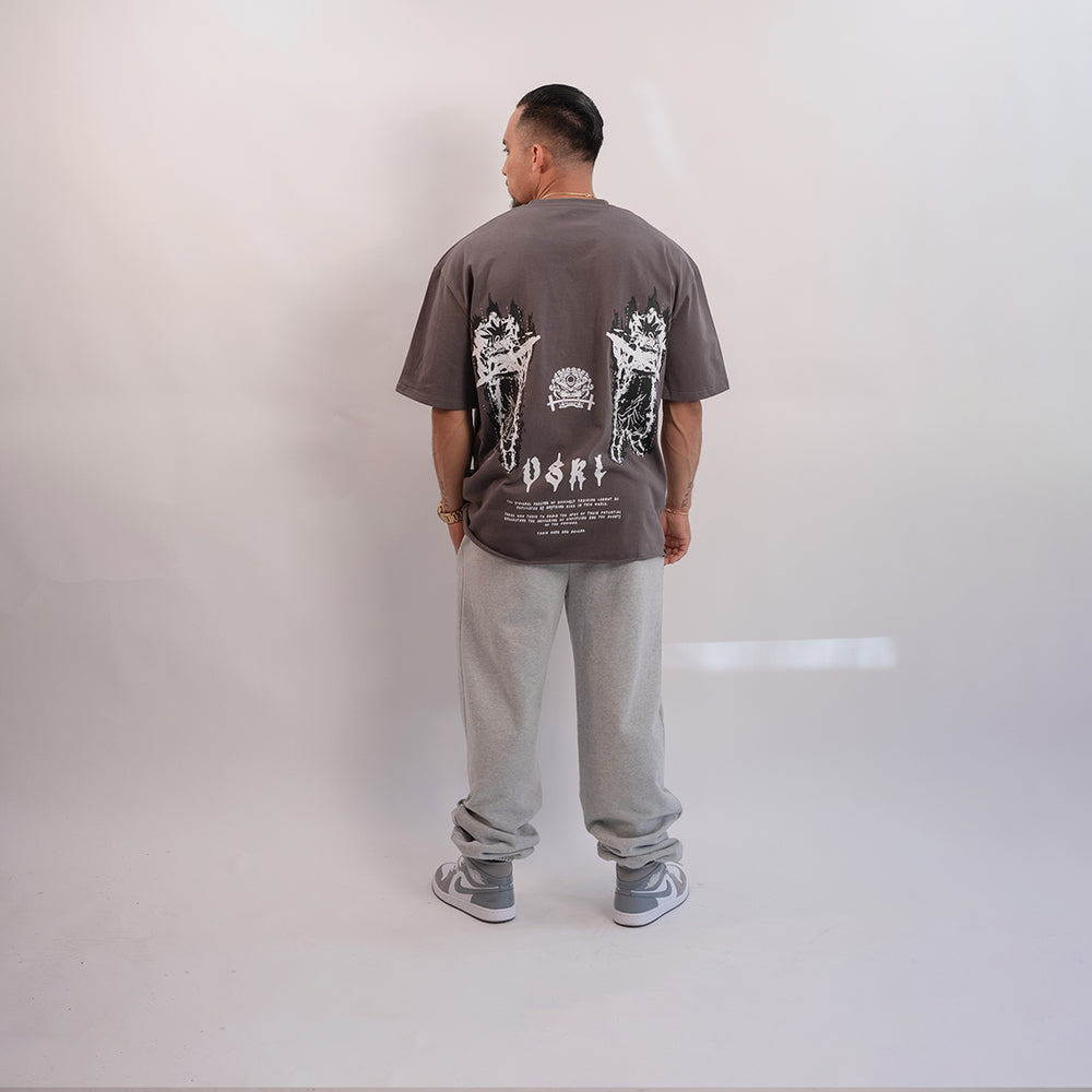 
                      
                        "Ascension DBZ" (Grey) Ultra-Heavy Super Oversized T
                      
                    
