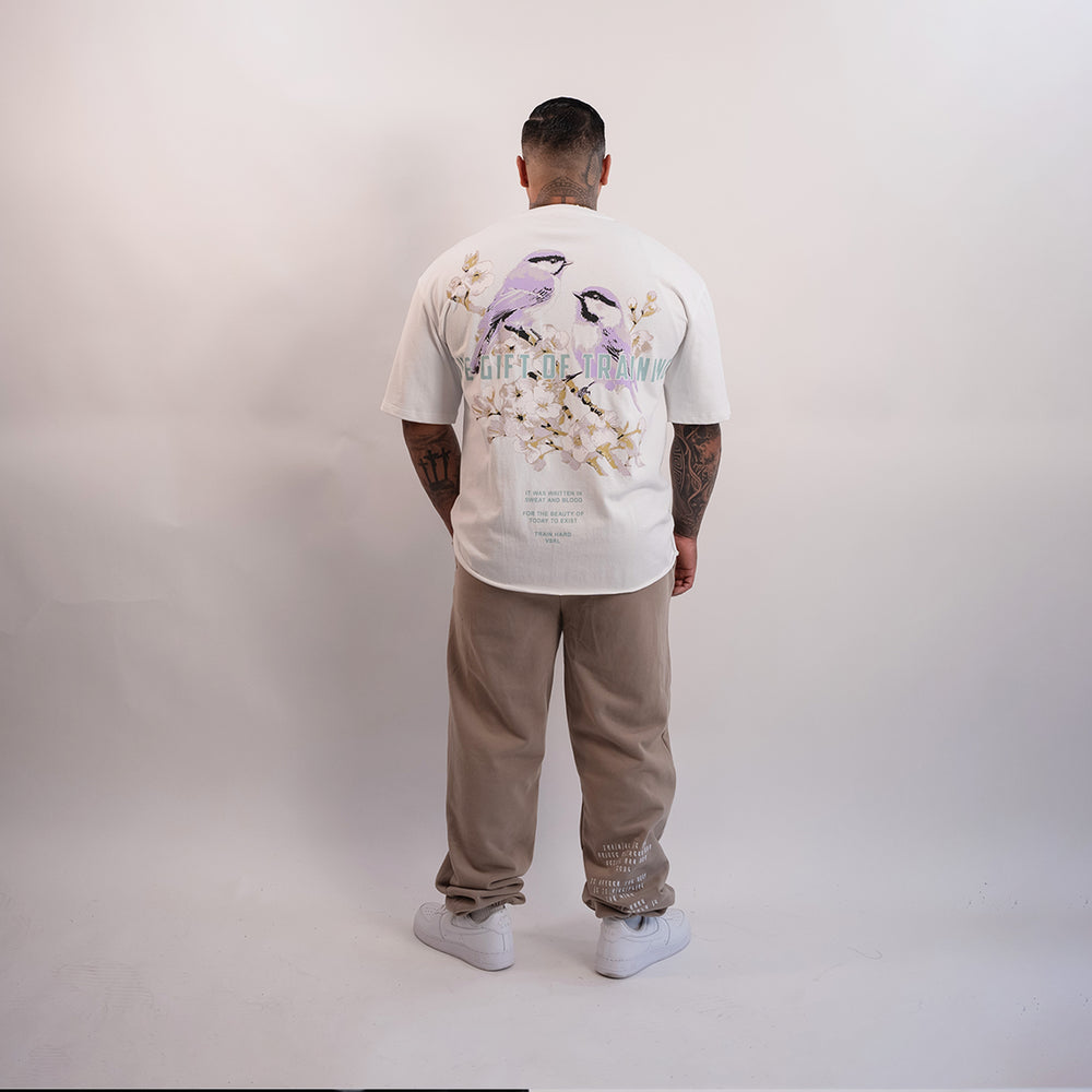 
                      
                        "Gift of Training" (White) Ultra-Heavy Super Oversized T
                      
                    